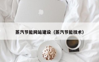 项城蒸汽节能网站建设（蒸汽节能技术）